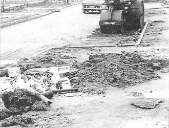 Millenium Scan 34
