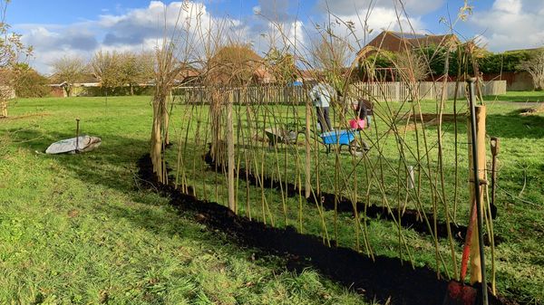 Willow part 1