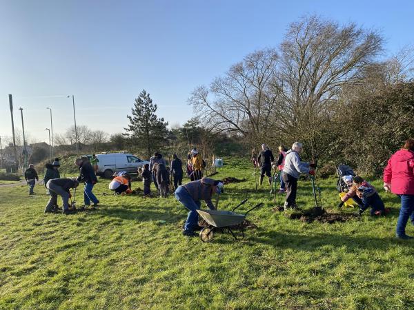 Tree planting 2