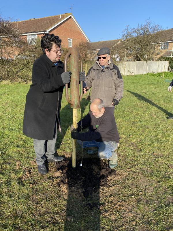 Tree planting